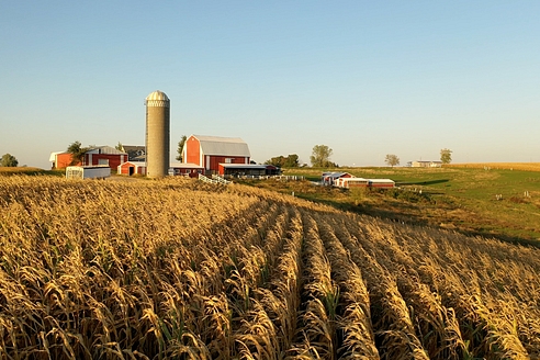 Rural Healthcare Statistics