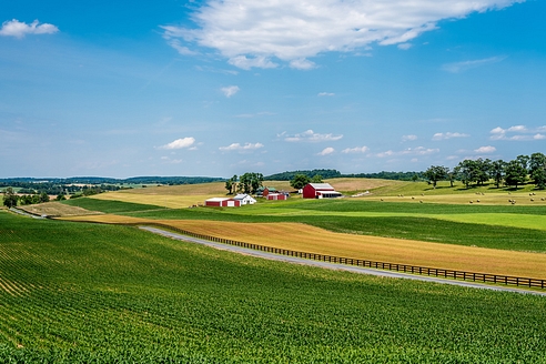 Telemedicine in Remote Areas