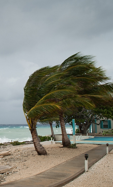 A hurricane is about to batter this caribbean beach hut The seas are raging and the skies show the tropical storm as the power of nature is demonstrated Waves crash on the shore