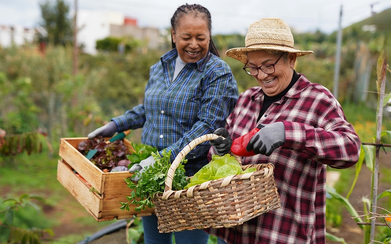 Adobe Stock 1771838719