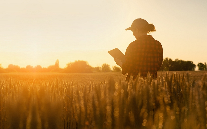 Rural Health